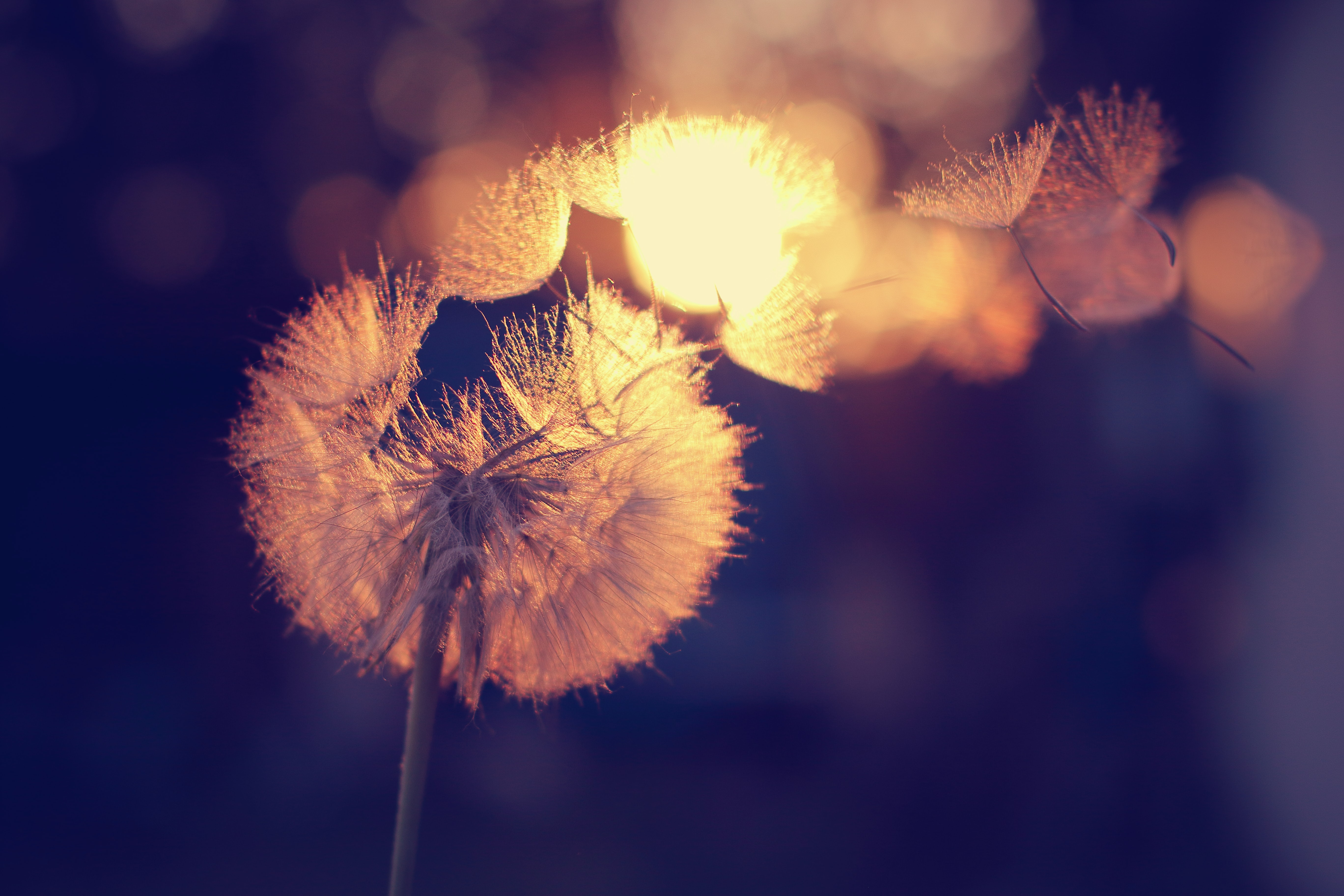 Photo by Timothy Eberly on Unsplash